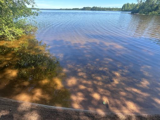 Extreme clear water in our lake